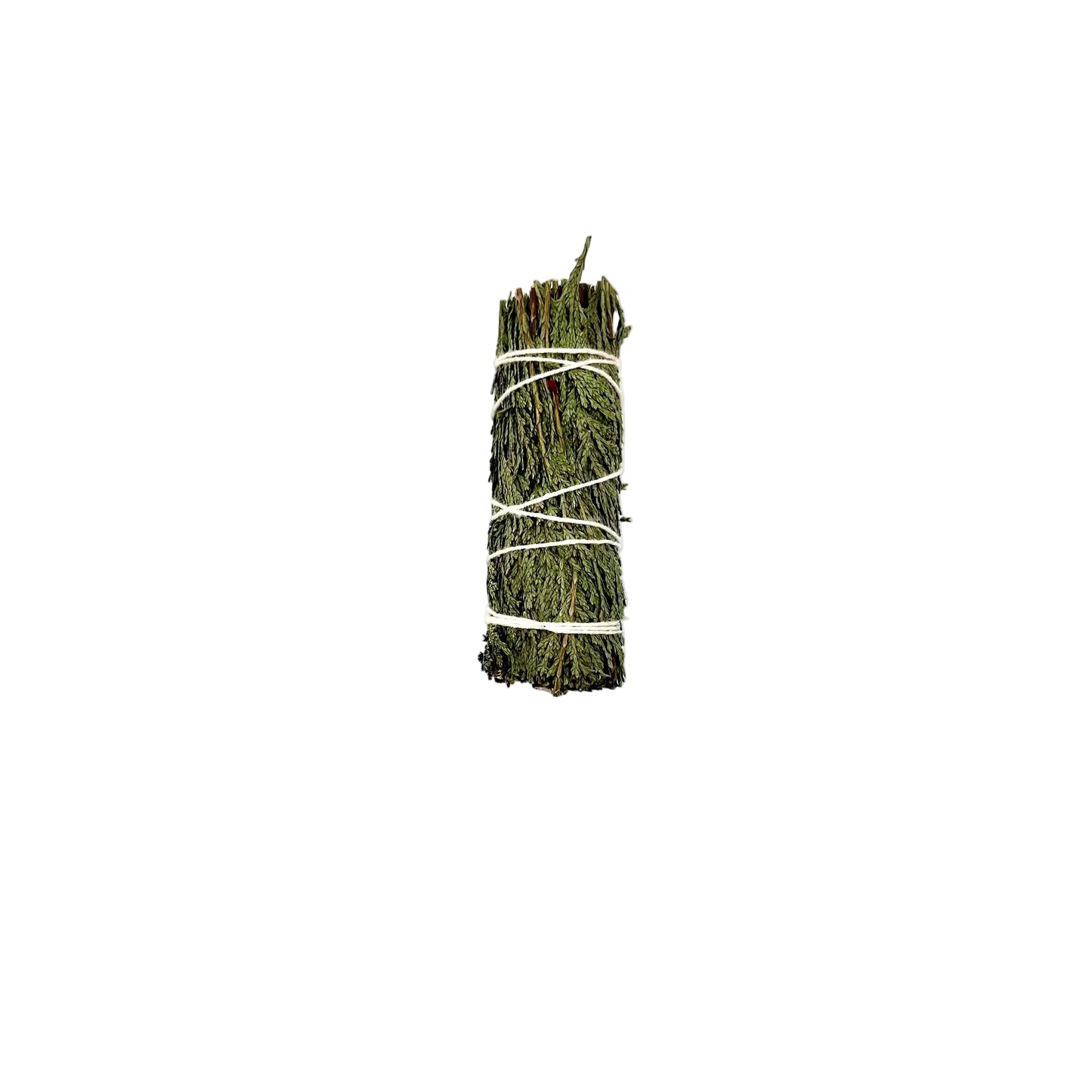 Bundled sage stick on a white background