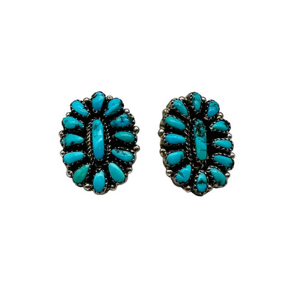 Pair of turquoise earrings on a white background